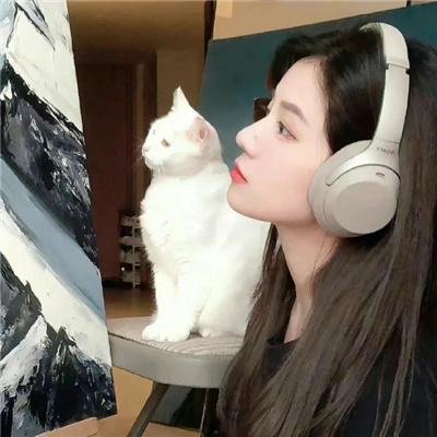 回声三号
