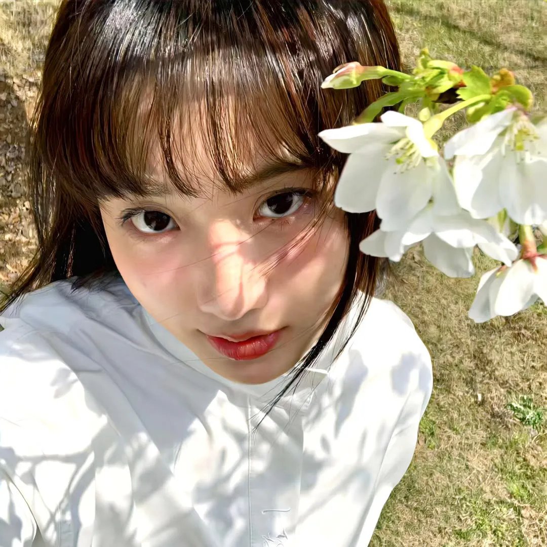 献给阿尔吉侬的花束